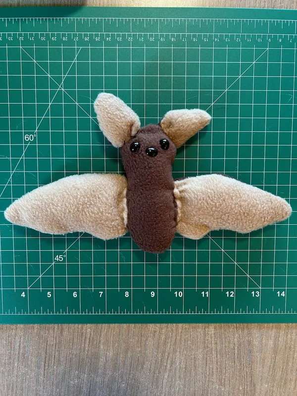 Bat